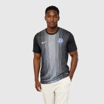 Chelsea Store – Official chelsea-nike-goalkeeper-stadium-shirt-2025-26_ss5_p-202492462+pv-1+u-qmi3gbop3kgmqdfz3kzv+v-f4aiigmosvgdquq9m7tf Chelsea FC Jerseys and Fan Gear